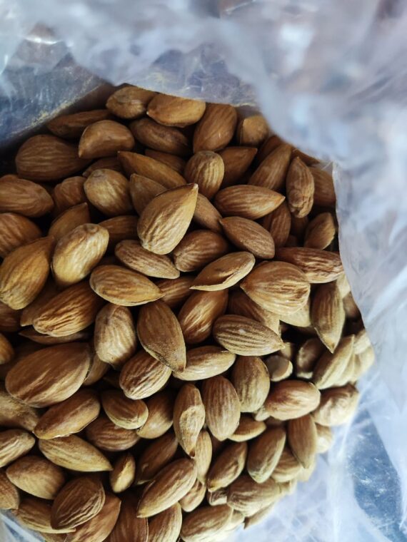 Premium Regular Kashmiri Mamra Almonds | A+ grade Badam Giri | Whole Natural Badam | High Protein & Vit E Content-1 Kg