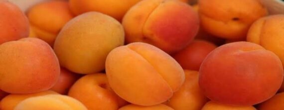 Red apricot 1 Kg