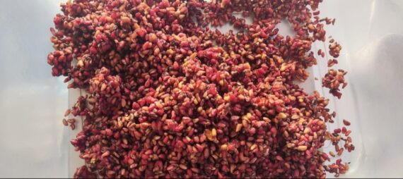 Anardana- Dried kashmiri wild pomegranates - 1 Kg